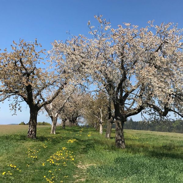 Impressionen von der Wanderung wp-content/uploads/2022/01/58441310_10216621517684787_8478895561250963456_n.jpg