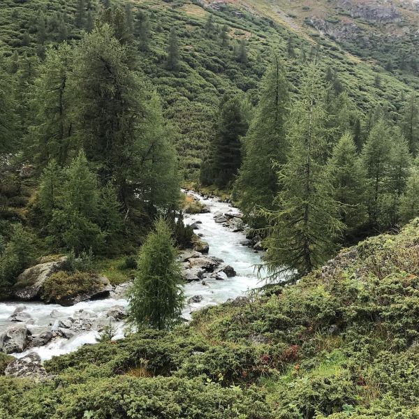 Impressionen von der Wanderung wp-content/uploads/2022/01/118859286_10220953908991862_8016185216961942716_n.jpg