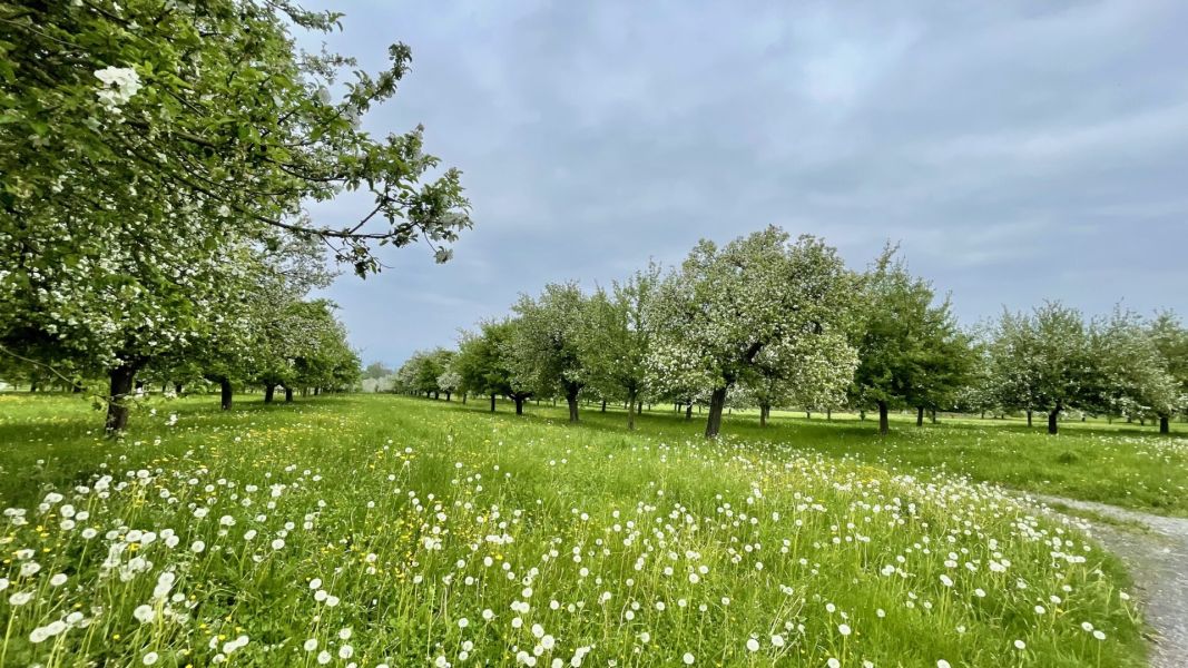 Impressionen von der Wanderung wp-content/uploads/2025/04/IMG_4481.jpeg