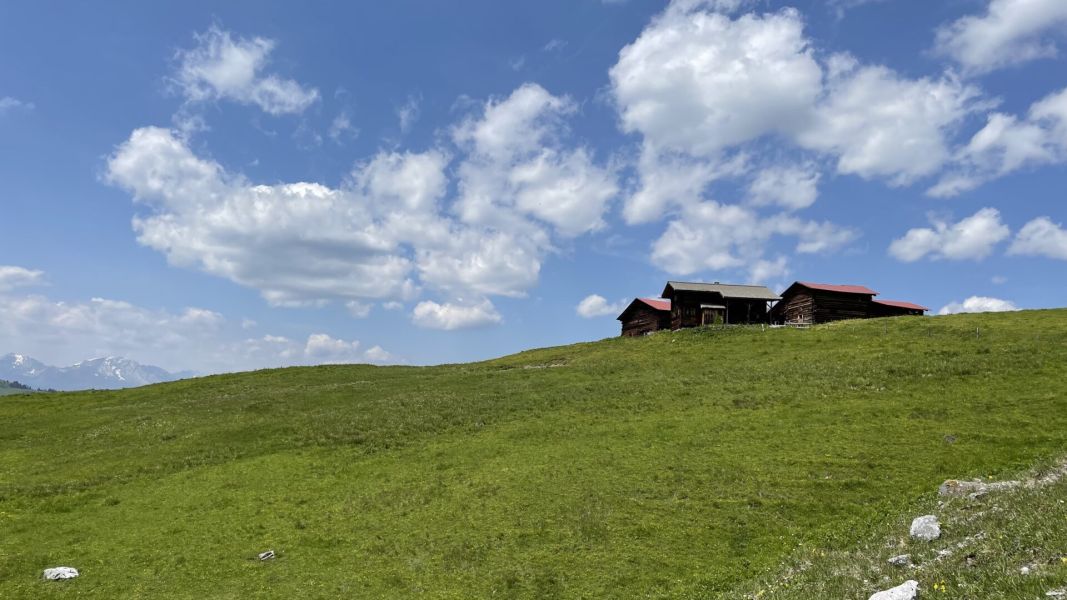 Impressionen von der Wanderung wp-content/uploads/2023/06/IMG_2049.jpeg