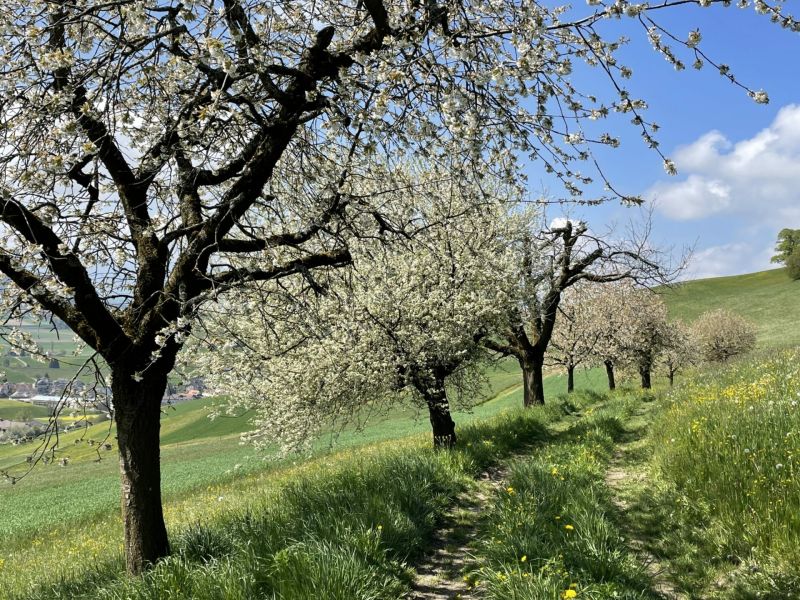 Impressionen von der Wanderung wp-content/uploads/2022/05/IMG_4402-scaled.jpeg