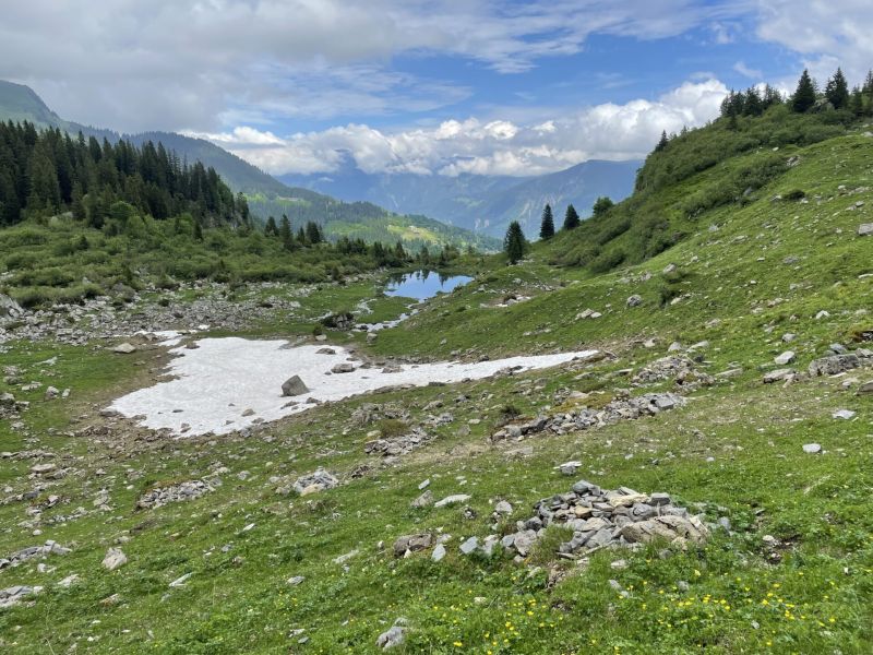 Impressionen von der Wanderung wp-content/uploads/2022/06/IMG_5035.jpeg