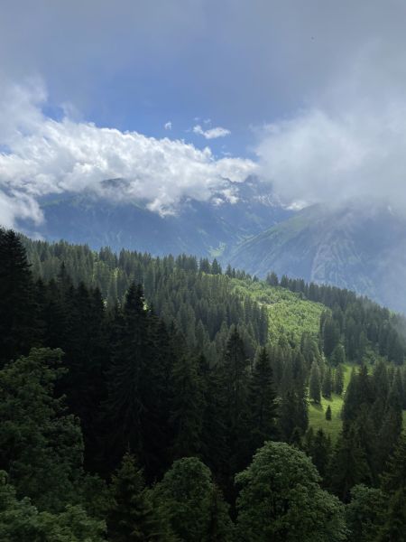 Impressionen von der Wanderung wp-content/uploads/2022/06/IMG_5008.jpeg