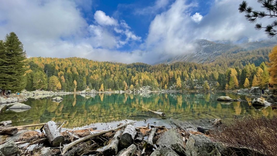 Impressionen von der Wanderung wp-content/uploads/2025/10/IMG_7047.jpeg