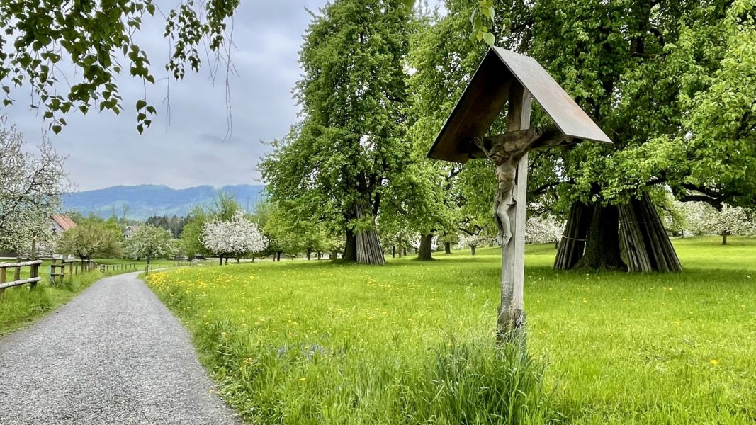 Impressionen von der Wanderung wp-content/uploads/2025/04/IMG_4509.jpeg