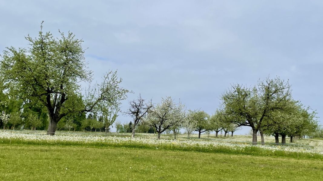 Impressionen von der Wanderung wp-content/uploads/2025/04/IMG_4520.jpeg