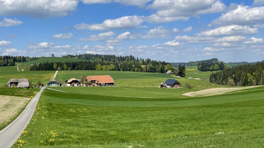 Impressionen von der Wanderung wp-content/uploads/2026/04/IMG_8039.jpeg