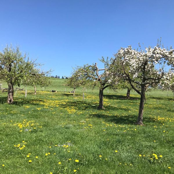 Impressionen von der Wanderung wp-content/uploads/2022/01/58707877_10216621515804740_110628182767435776_n.jpg