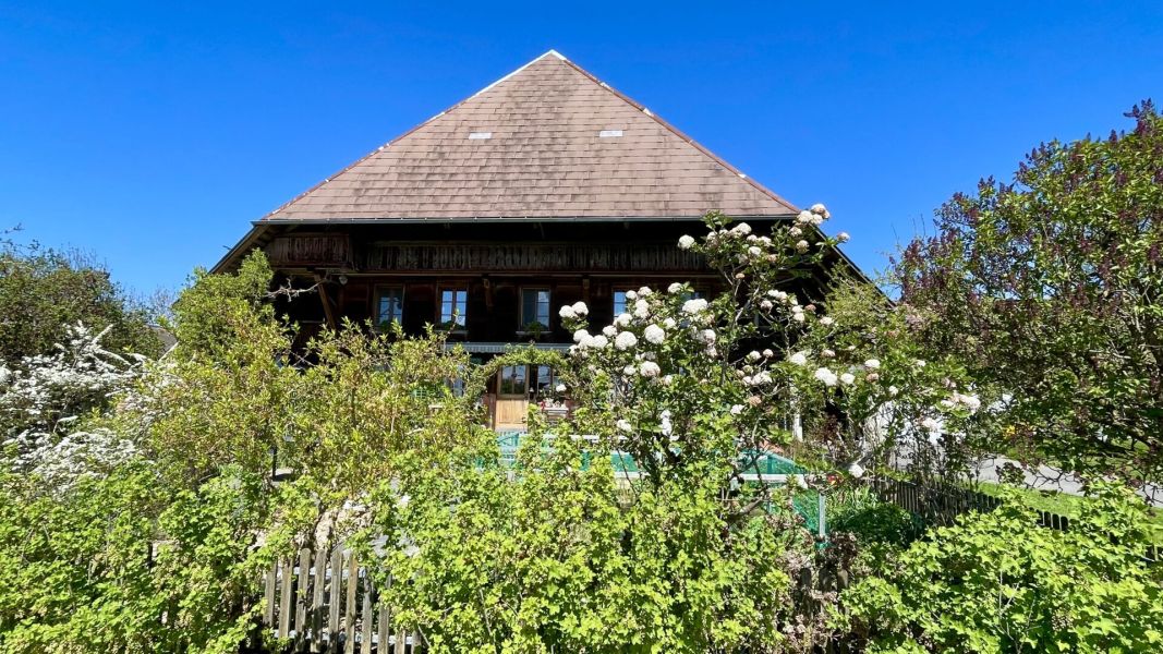 Impressionen von der Wanderung wp-content/uploads/2026/04/IMG_8008.jpeg