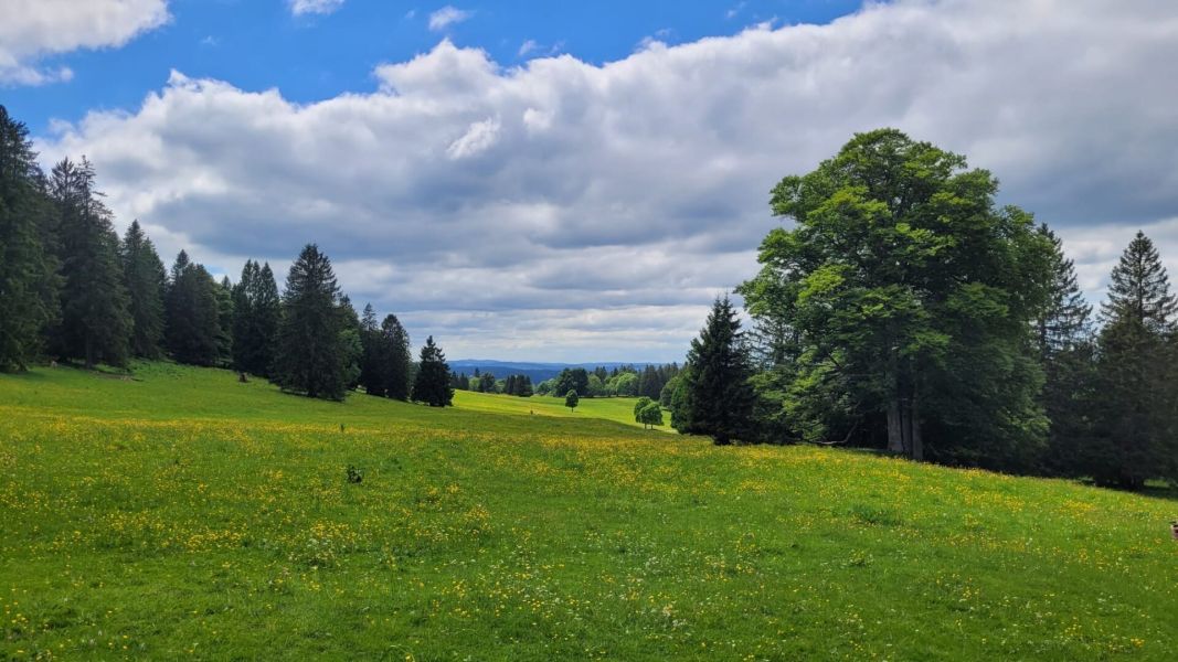 Impressionen von der Wanderung wp-content/uploads/2022/05/IMG_012.jpeg