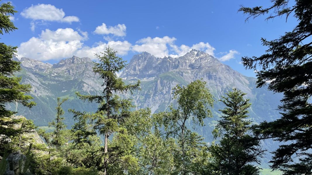 Impressionen von der Wanderung wp-content/uploads/2023/06/IMG_2443.jpeg