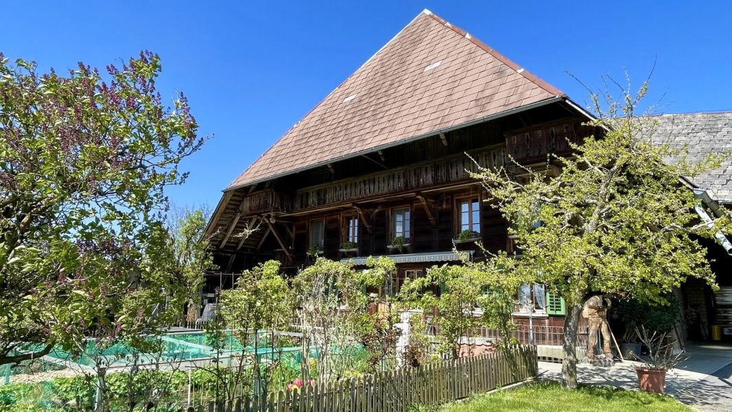 Impressionen von der Wanderung wp-content/uploads/2026/04/IMG_8009.jpeg