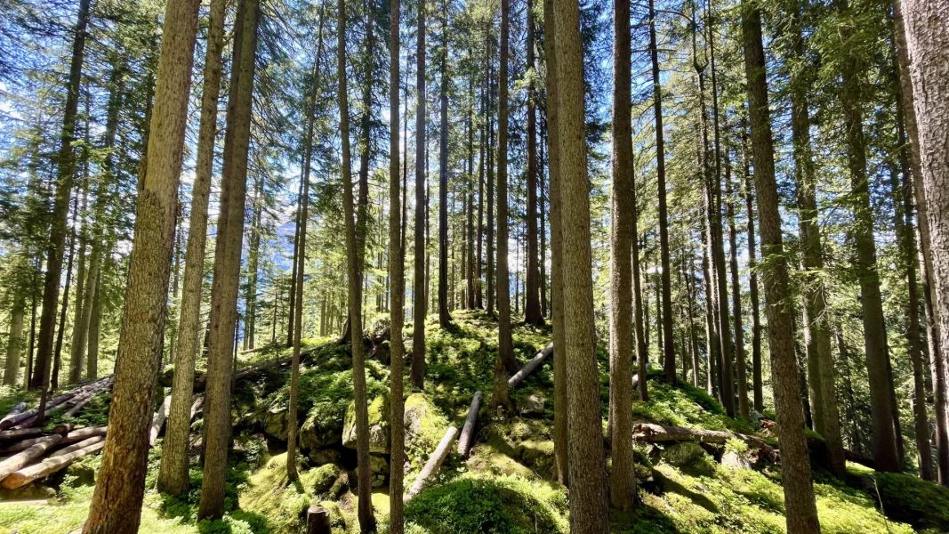 Impressionen von der Wanderung wp-content/uploads/2025/06/IMG_5005.jpeg