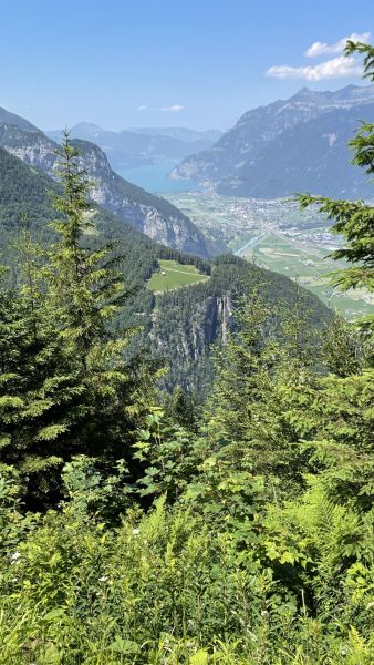 Impressionen von der Wanderung wp-content/uploads/2023/06/IMG_2445.jpeg