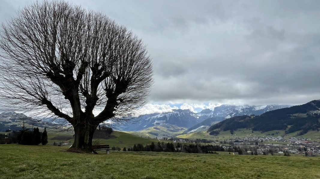 Impressionen von der Wanderung wp-content/uploads/2023/02/IMG_8236.jpeg