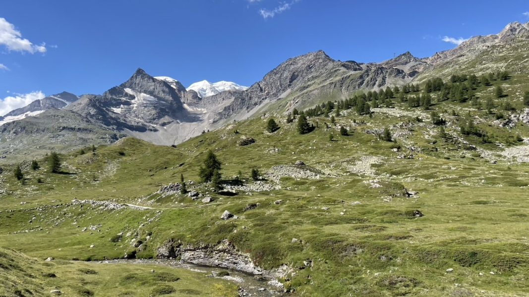 Impressionen von der Wanderung wp-content/uploads/2022/07/Bild-Alain_107-Kopie.jpeg