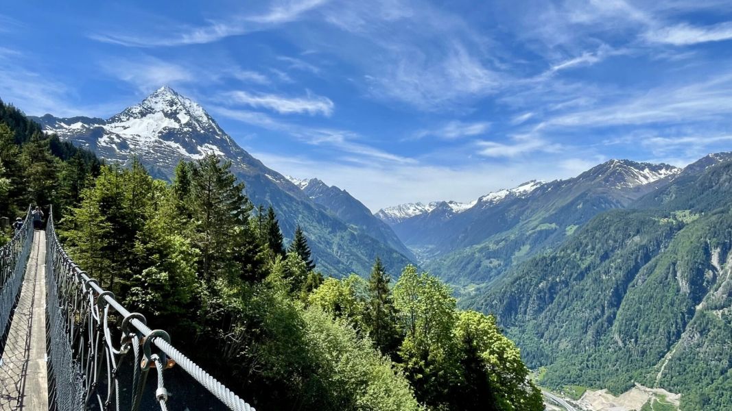 Impressionen von der Wanderung wp-content/uploads/2025/06/IMG_5002.jpeg