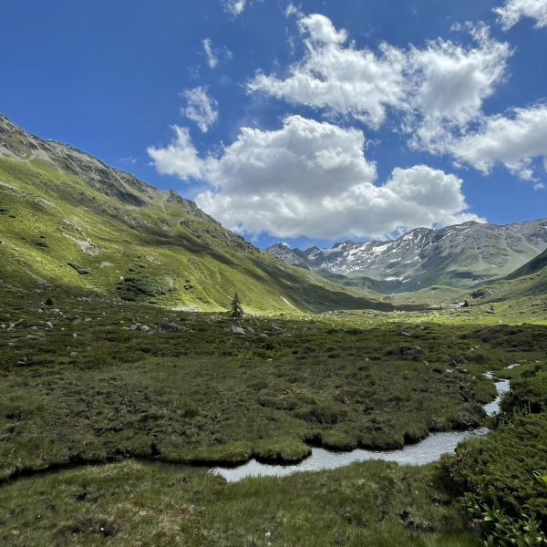 Impressionen von der Wanderung wp-content/uploads/2022/07/Bild-Alain_133-Kopie.jpeg