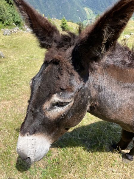 Impressionen von der Wanderung wp-content/uploads/2023/06/IMG_2437.jpeg