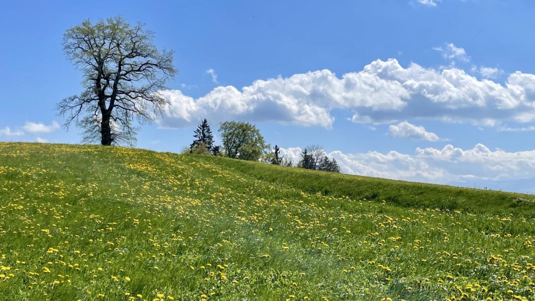 Impressionen von der Wanderung wp-content/uploads/2026/04/IMG_8017.jpeg