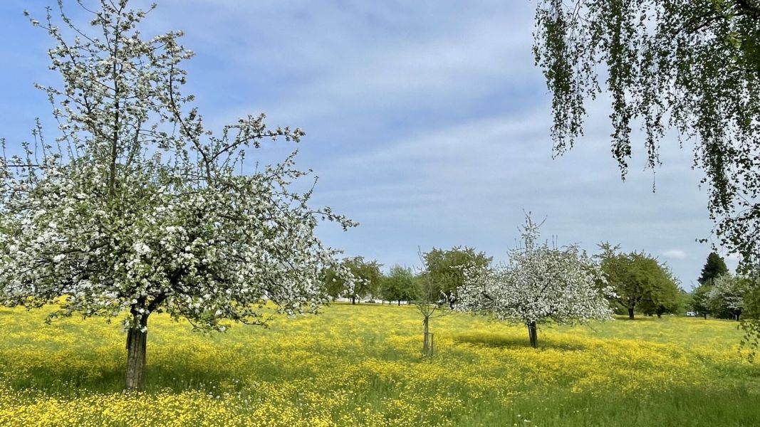 Impressionen von der Wanderung wp-content/uploads/2025/04/IMG_4526.jpeg