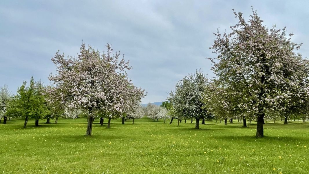 Impressionen von der Wanderung wp-content/uploads/2025/04/IMG_4489.jpeg