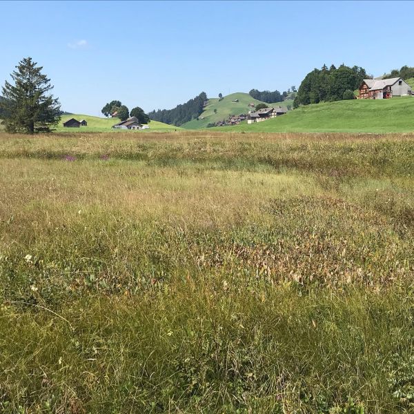 Impressionen von der Wanderung wp-content/uploads/2022/01/116880336_10220736154948147_2199410033316795209_n.jpg