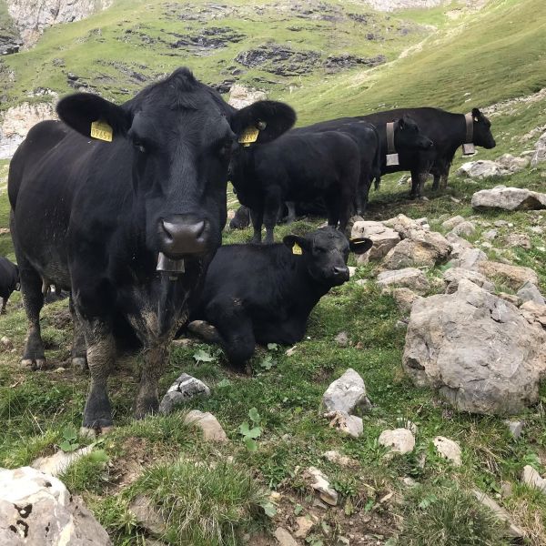 Impressionen von der Wanderung wp-content/uploads/2022/01/242055651_10223664933245774_6968250364851496253_n.jpg