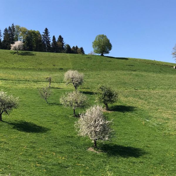 Impressionen von der Wanderung wp-content/uploads/2022/01/58689263_10216621518804815_8527977850509197312_n.jpg