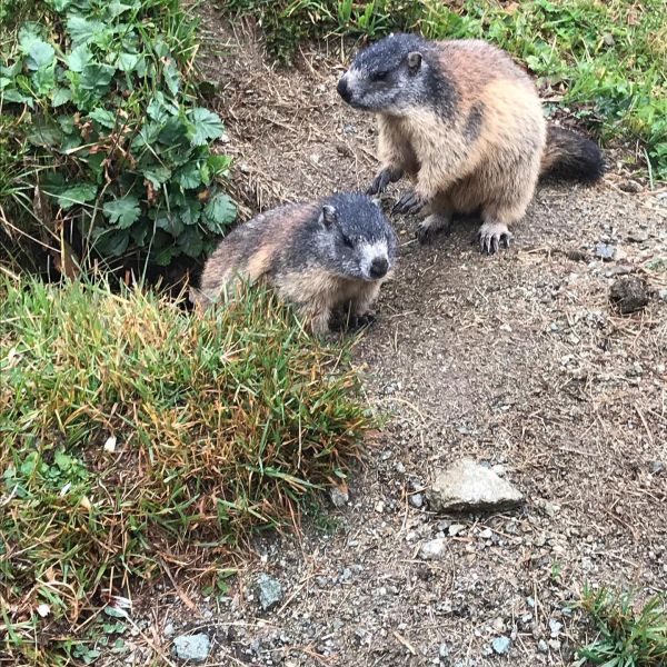 Impressionen von der Wanderung wp-content/uploads/2022/01/119001054_10220953866990812_8284418216612966271_n.jpg