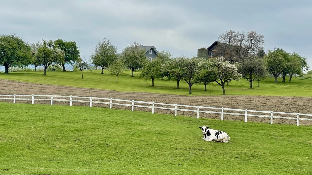 Impressionen von der Wanderung wp-content/uploads/2025/04/IMG_4447.jpeg