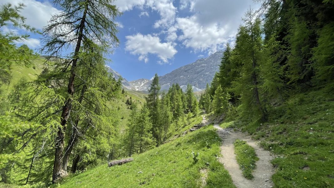 Impressionen von der Wanderung wp-content/uploads/2023/06/IMG_2037.jpeg