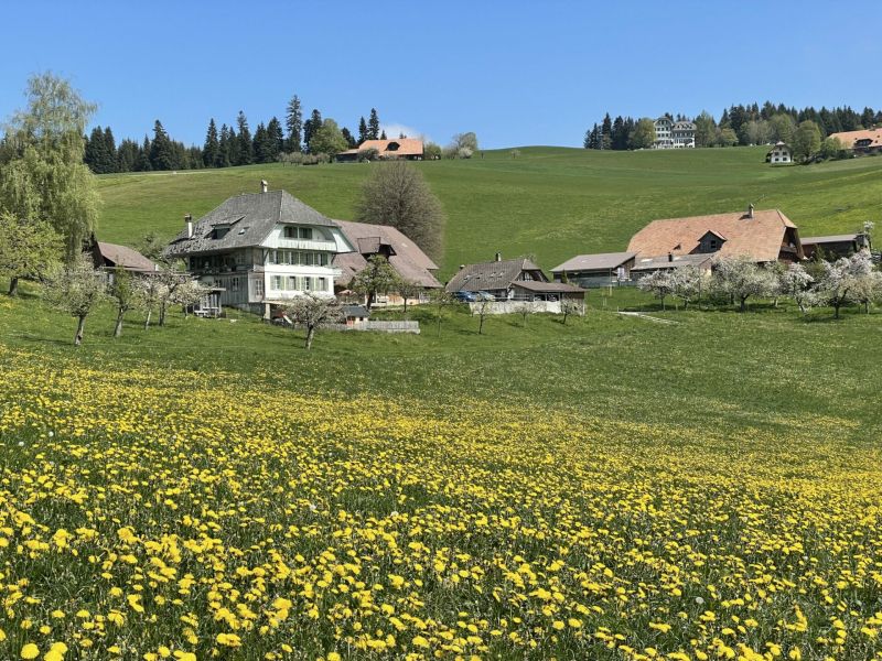 Impressionen von der Wanderung wp-content/uploads/2022/05/IMG_4400-scaled.jpeg