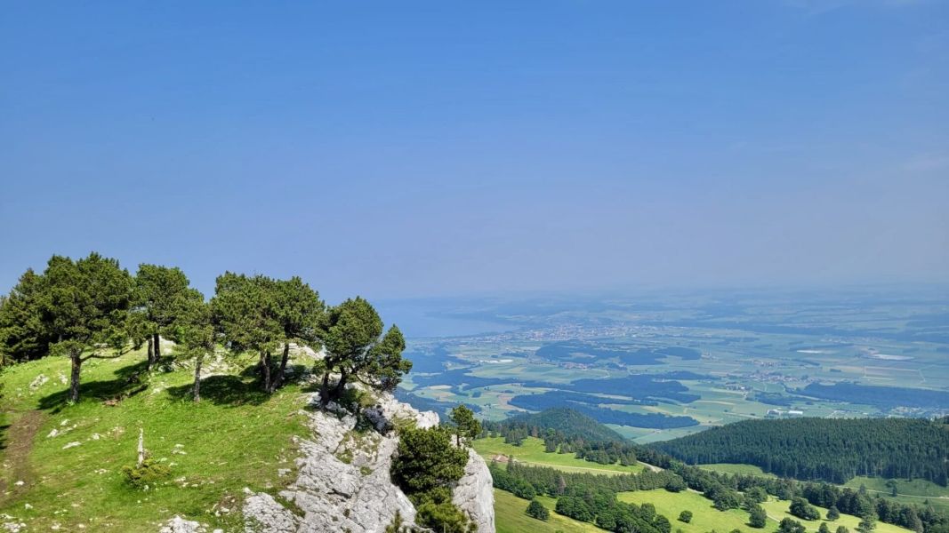 Impressionen von der Wanderung wp-content/uploads/2025/06/a60a2a73-6661-4d47-827f-8598e5674c4e.jpg
