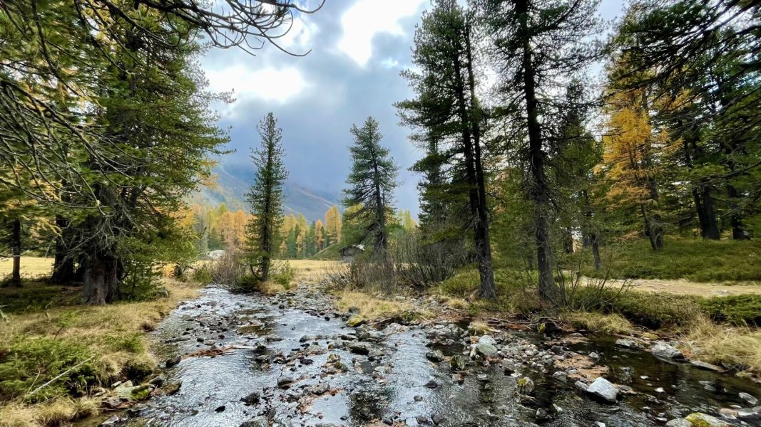 Impressionen von der Wanderung wp-content/uploads/2025/10/IMG_7035.jpeg