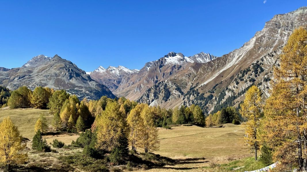 Impressionen von der Wanderung wp-content/uploads/2025/10/IMG_6838.jpeg