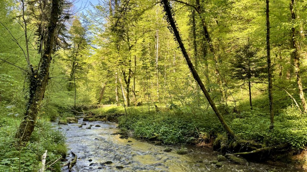 Impressionen von der Wanderung wp-content/uploads/2025/05/IMG_4596.jpeg