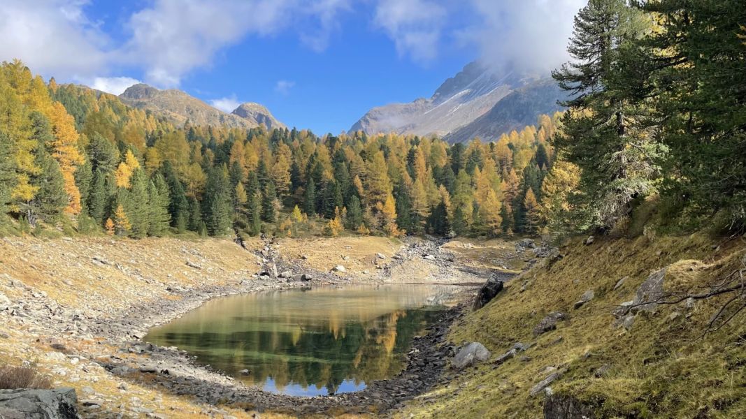 Impressionen von der Wanderung wp-content/uploads/2025/10/IMG_7028.jpeg