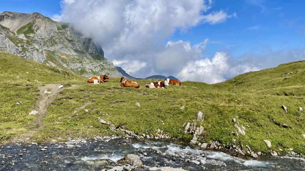 Impressionen von der Wanderung wp-content/uploads/2025/08/IMG_6444.jpeg