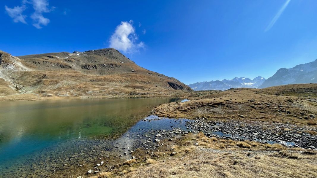 Bild von der Wandertour St. Moritz‘ schönste Seite