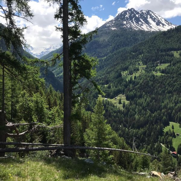 Bild von der Wandertour Das Turtmanntal: ein versteckter Schatz