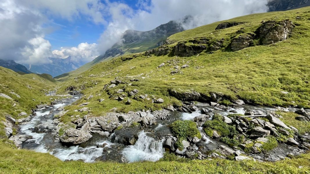 Impressionen von der Wanderung wp-content/uploads/2025/08/IMG_6458.jpeg