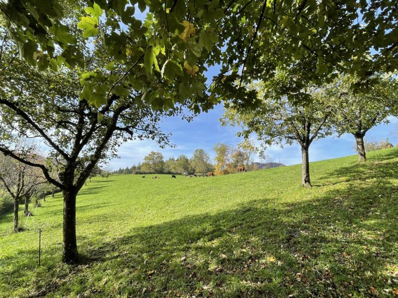 Bild von der Wandertour In fünfeinhalb Stunden drei Pässe und drei Kantone