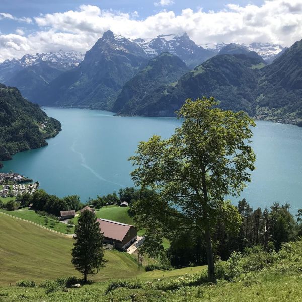 Bild von der Wandertour Der „Weg der Schweiz“ mit atemberaubenden Fernsichten!