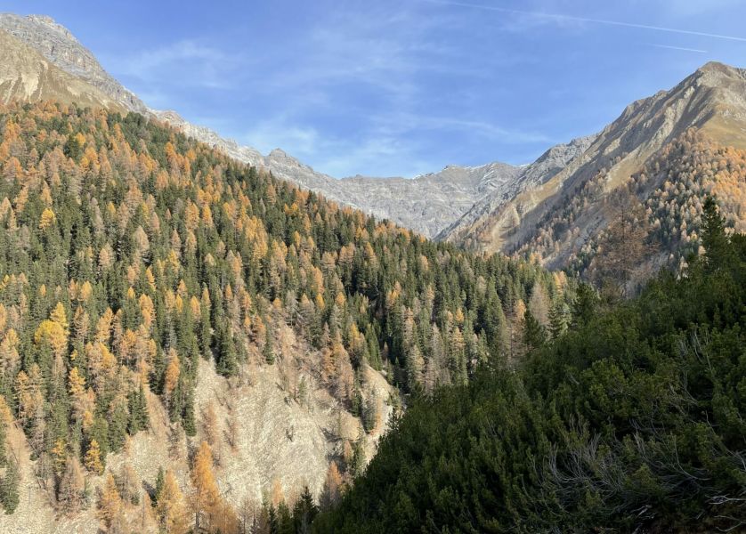 Bild von der Wandertour Val Trupchun: Vom Oberengadin in den Nationalpark