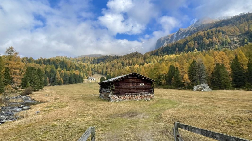 Impressionen von der Wanderung wp-content/uploads/2025/10/IMG_7022.jpeg