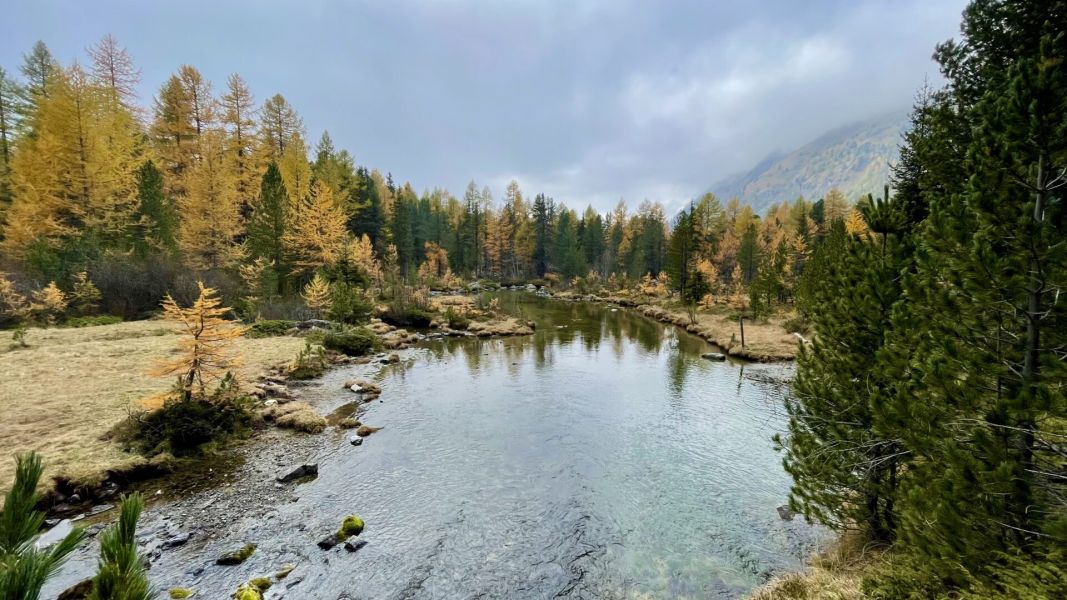 Impressionen von der Wanderung wp-content/uploads/2025/10/IMG_7038.jpeg