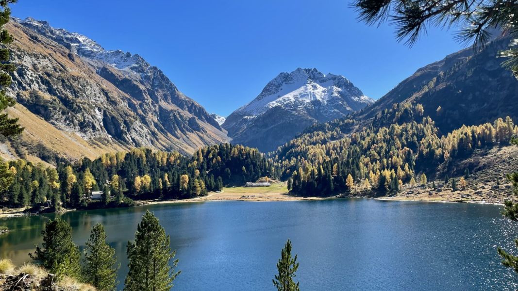 Bild von der Wandertour Rundtour durchs Bilderbuch