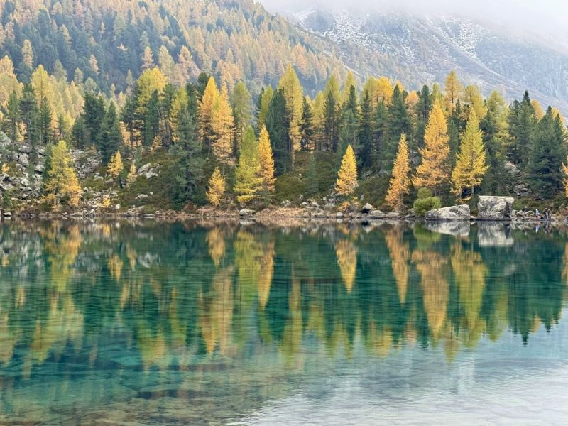 Impressionen von der Wanderung wp-content/uploads/2025/10/B8C970C5-6F2F-4442-8C26-FE2848A8C410.jpg