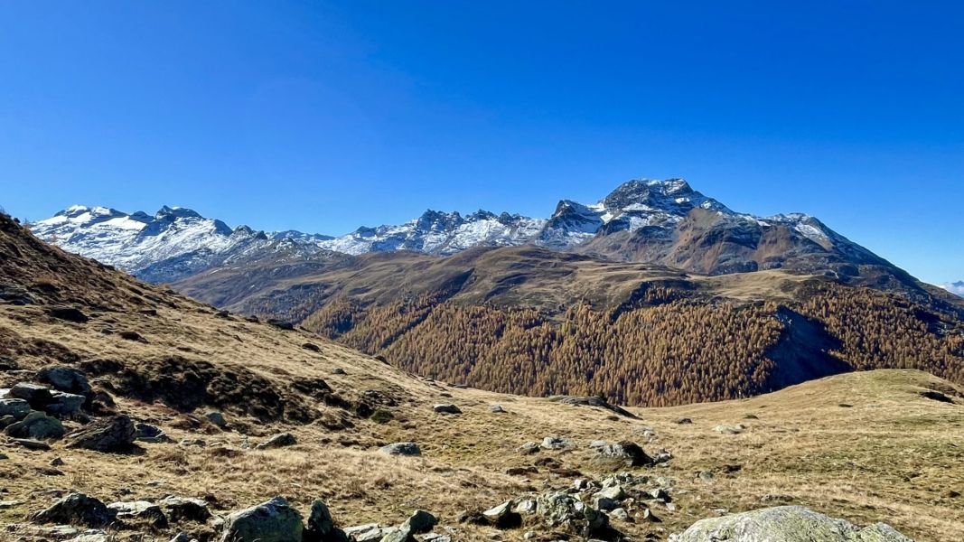 Impressionen von der Wanderung wp-content/uploads/2025/10/IMG_7213.jpeg